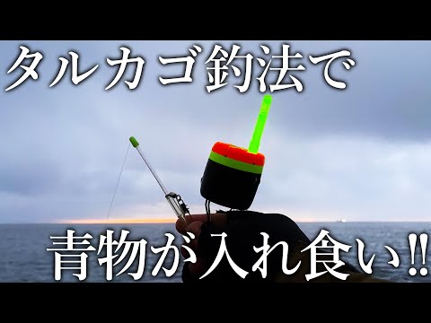 青物＆回遊魚が湧き上がるほど釣れる！魚を高活性化させる新釣法がスゴすぎる