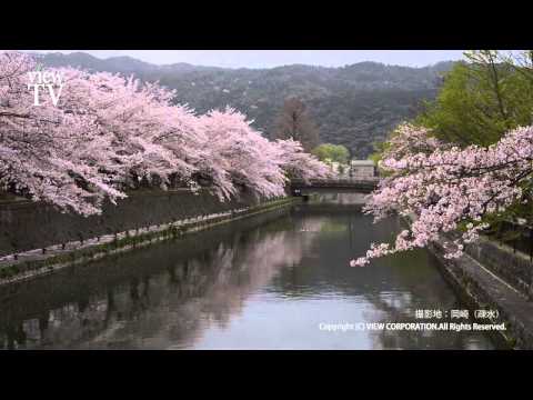 [KYOTO viewTV-34] 古都の春3（京都市） Spring ancient capital 3 (Kyoto) HD