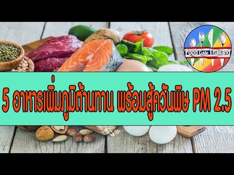 5 อาหารเสริมสรรพคุณเพิ่มภูมิต้านทานฝุ่น : Food Guide Thailand