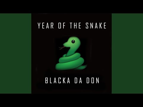 Year Of The Snake