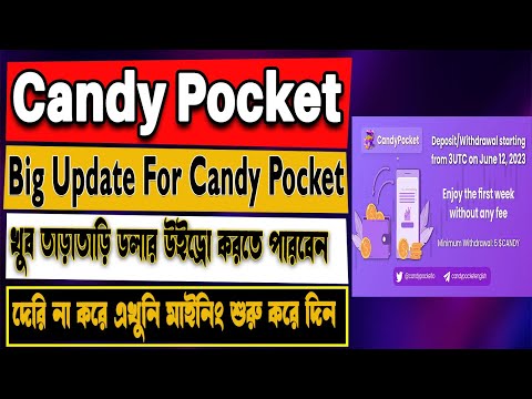 Candy Pocket New Update 2023 | Candy Pocket New Good News Today