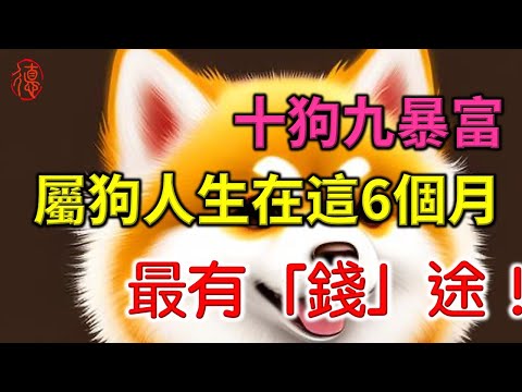 十狗九暴富，屬狗人出生在這6個月份，最有「錢」途！