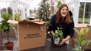 Unboxing Houseplants! 🌿💚🙌 // Garden Answer