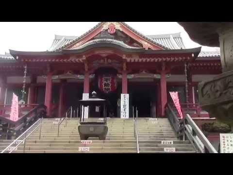 02目黒不動の桜　花見の名所　東京都目黒区