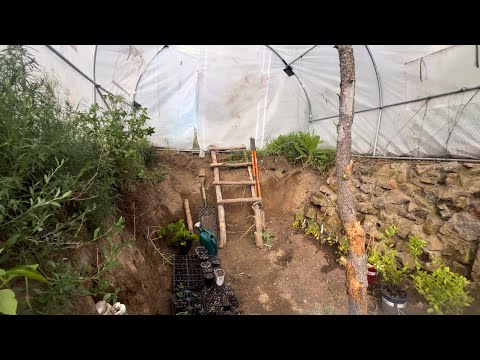 Full Tour of Our Underground Greenhouse | Walipini Sustainable Gardening in the Colorado Mountains