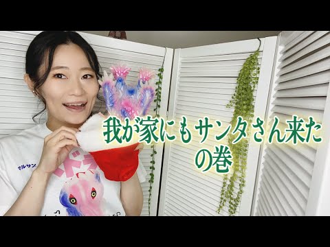 アラサー女子の家にもサンタさんは来てくれる！