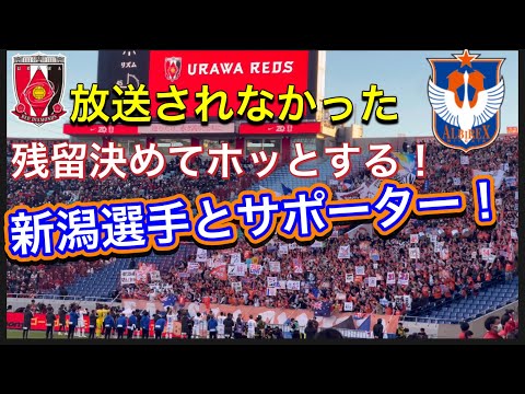 テレビやDAZNで放送されなかった残留を決めてホッとするアルビレックス新潟サポーター！浦和レッズ対アルビレックス新潟！明治安田Ｊ１リーグDAZN ダイジェスﾄサッカー日本代表 サポーターチャントAFC