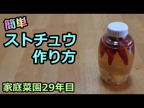 【簡単ストチュウの作り方】家庭菜園29年目 無農薬栽培