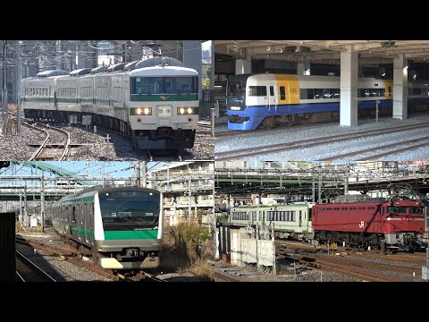 11/25/2024 Japan Railways: 185 Series, 255 Series, E233 Series & KiHa 110 Series at Omiya