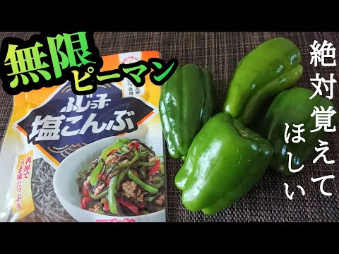 【無限ピーマン】パパッと簡単!絶対覚えておきたい万能おかず♪あと一品にも◎ご飯おつまみパスタ何にでも合う