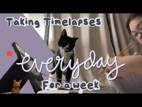 Get Productive With Me!! | Taking Time Lapses Everyday For a Week