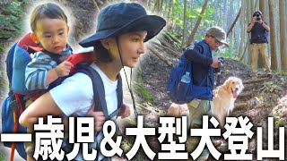 1歳児背負って3年ぶりに登山したらヤバ過ぎたww