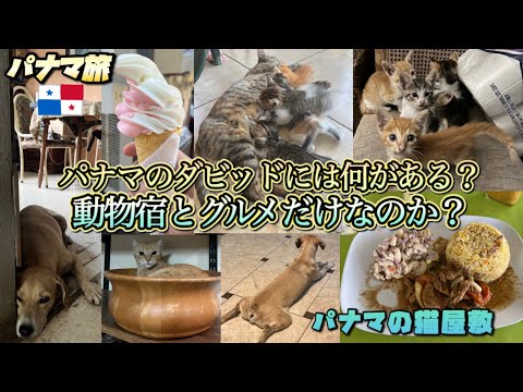 穴場？パナマ第3の都市ダビッドには何がある？🇵🇦