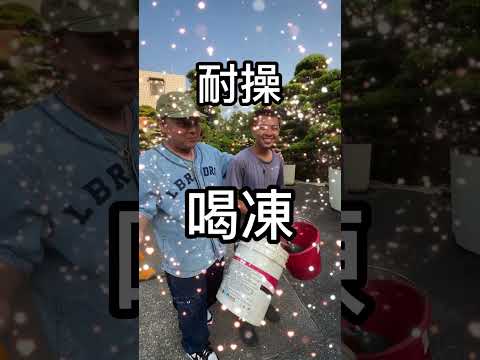 下定即綁帶｜綁走您的命定樹 #台灣銘園 #台灣銘園園藝事業有限公司 #園藝