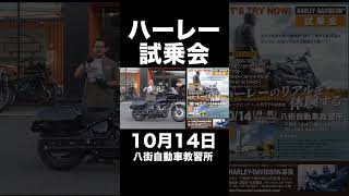 ハーレー試乗会10月14日八街自動車教習所 #harleydavidson