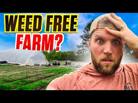 I NO LONGER HAVE WEEDS ON MY FARM. HERE’S HOW I DID IT