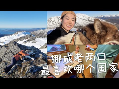 挪威人用电政府还发钱！雪山上搂狗睡午觉｜跟老两口聊房车旅行