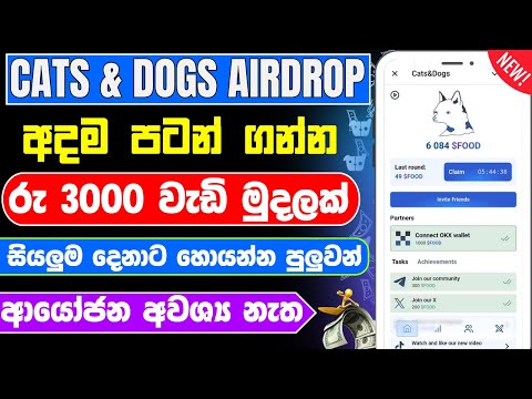 Cats and dogs aidrop sinhala | cats & dogs telegram aidrop wallet connect