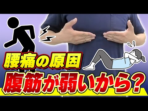 【腹筋と腰痛の関係性】“腹筋が弱いから腰痛になる”は嘘‼︎‼︎