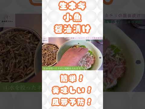 【生ネギと小魚の醤油漬け】簡単！風邪予防！ #料理 #簡単ごはん #料理動画 #簡単料理