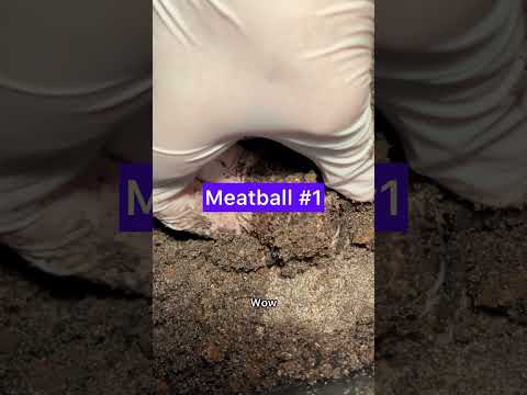 How I harvest my meatballs