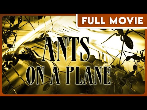 Ants on a Plane (1080p) FULL MOVIE - Action, Fantasy, Horror, Sci-Fi, Thriller