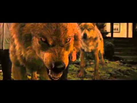 Twilight wolf scenes