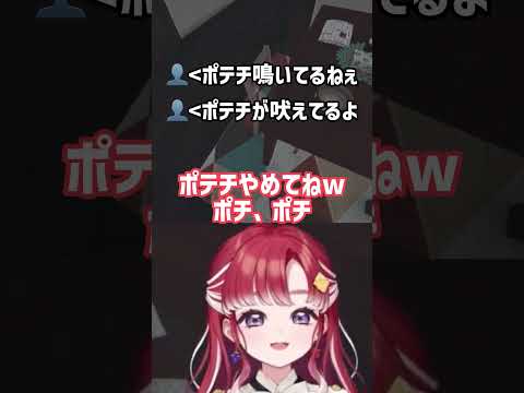 【ポテチの世話】とんでもない言い間違いをしてしまう早乙女ベリー【にじさんじ/早乙女ベリー】