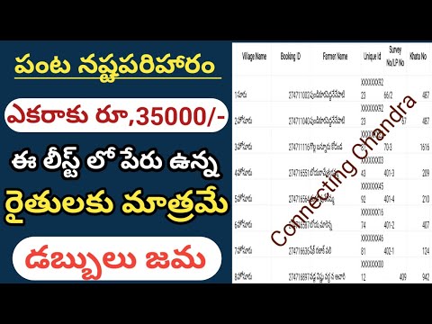 panta nastam in ap status 2024 || panta nastam in ap status@ConnectingChandra