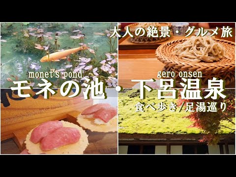 【岐阜旅行vlog】モネの池～下呂温泉観光♪まるで絵画の絶景＆温泉街で食べ歩き［1泊2日の旅day1］