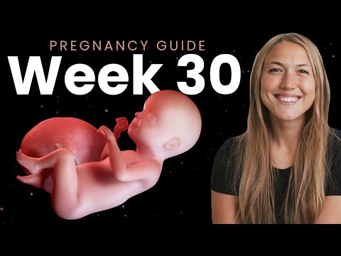 30 Weeks Pregnant | Week By Week Pregnancy