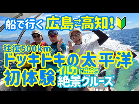 【初】ドッキドキの太平洋！広島-高知500km！イルカに出会える奇跡が待っていた！