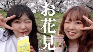 桜満開だったからお花見開催した⭐︎