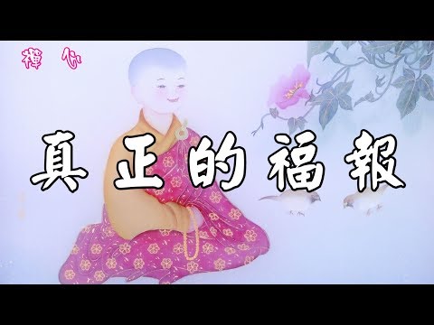 【禪心】☯真正的福報