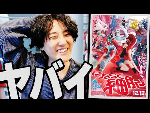 『はたらく細胞』の実写化が大変なことになってる【映画】