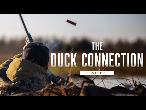 The Duck Connection Part 2 TEASER  | Delta Waterfowl