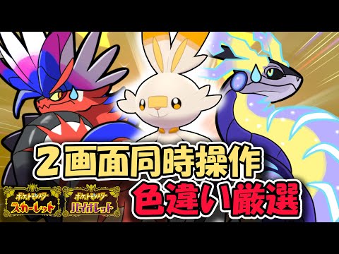 【ポケモンSV】色違いヒバニーをだすまで俺は配信をやめないし、みんなも見るをやめてはいけない