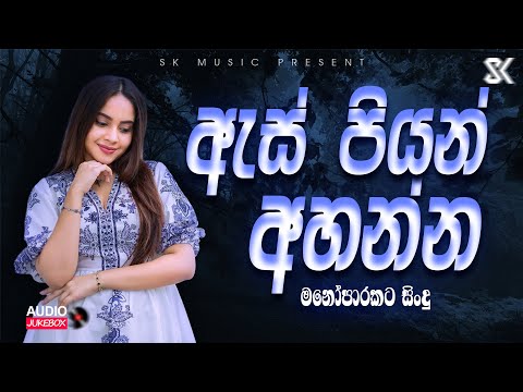 Best Sinhala Song Collection | ඇස් පියන් අහන්න | Sinhala Song 2024 (Slowed+Reverb) JukeBoxVol.08