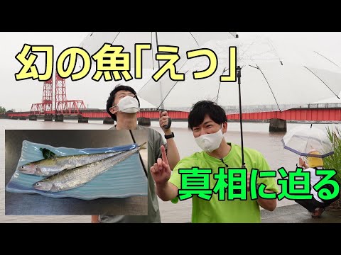 幻の魚「えつ」の真相に迫る！