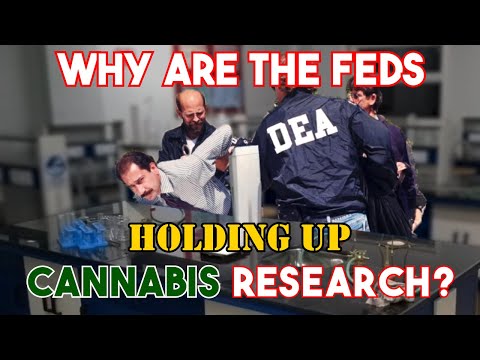 DEA Holding up Cannabis Research