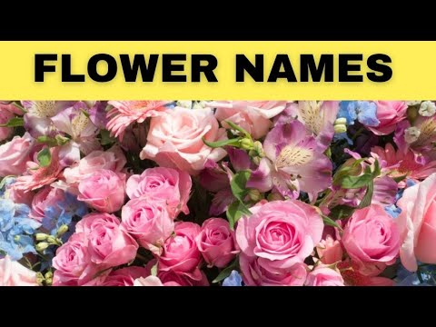 50 Flower names in English #flower #flowers #flowersname #50flowersname #flowersnameinenglish #kids