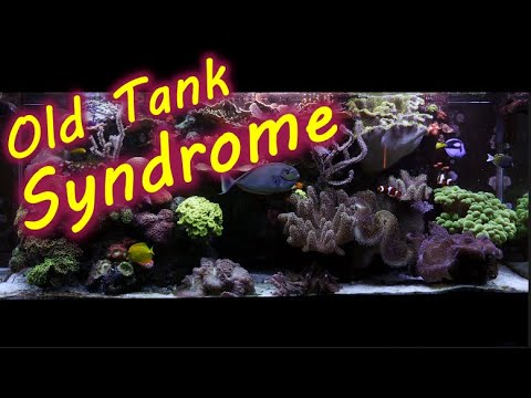 Old Tank Syndrome In A Reef Tank