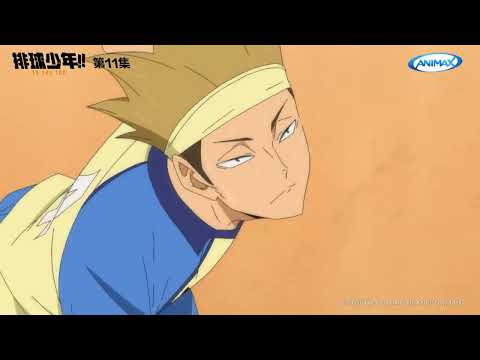 ANIMAX《排球少年!!》菅原孝支 最佳好球 Part 3 #中文配音