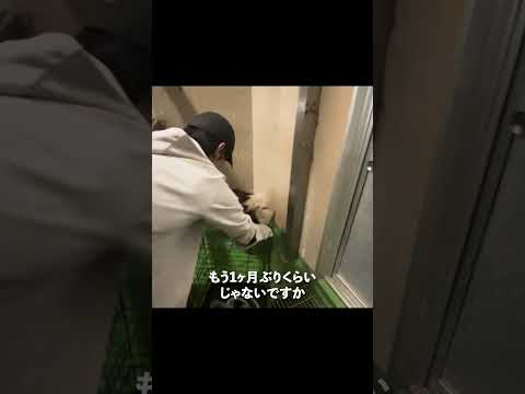 1ヶ月も檻に閉じ込められた犬...