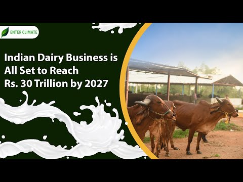 How To Start A Dairy Business In India? |  Dairy Industry Business Plan | Enterclimate