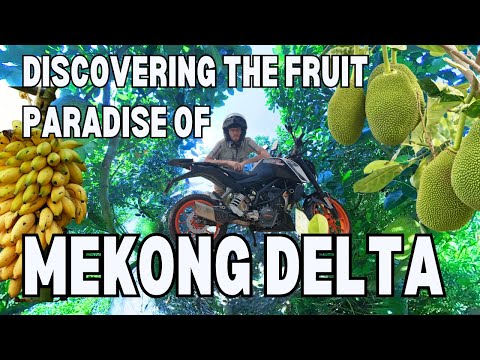 Discover the Hidden Gem of Mekong Delta: Jackfruit & Banana Heaven! 🍌🌿 (S1E9)