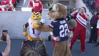 Arizona, Arizona State mascots get into fight - Sparky beats Wilbur