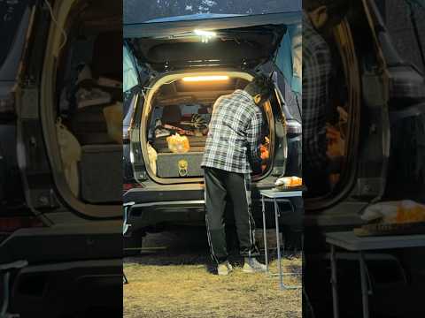 Winter Forest Car Camping 🏕️ #tatasafari #camping #campervan #shorts #shortvideo