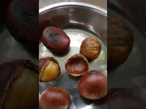 Roasted chestnut #followers #highlights #ofwhongkong #delicious #foryou