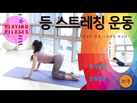 [Playing Pilates]등 스트레칭 운동❤️ Back Stretch Workout [홈트레이닝/자이로토닉/필라테스]